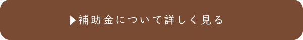 補助金について詳しく見る
